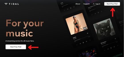 Tidal homepage with arrows pointing at free trial buttons